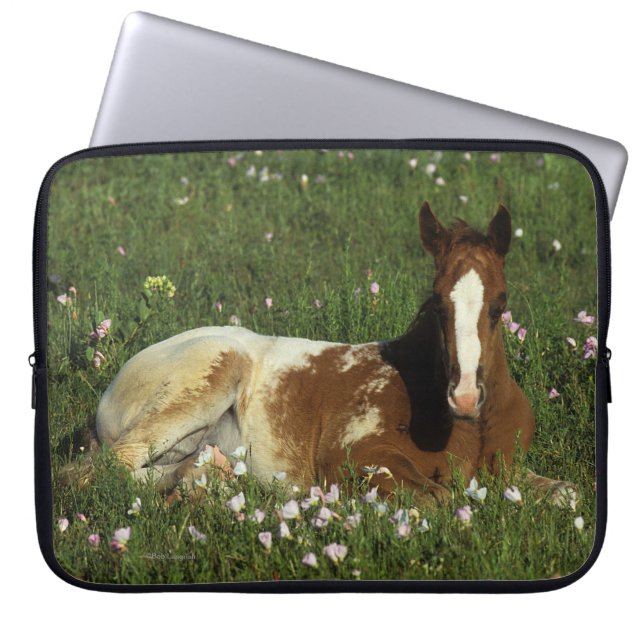 Funda Para Portátil Potro del Appaloosa que coloca en flores (Frente)