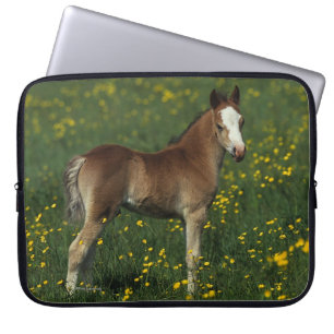 Funda Para Portátil Potro Galés