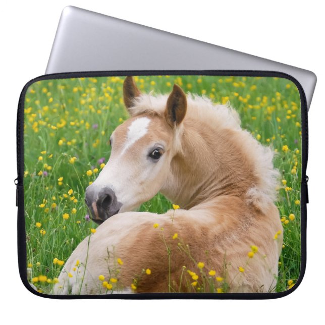 Funda Para Portátil Potro lindo del caballo del potro de Haflinger en (Frente)