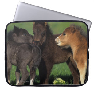 Funda Para Portátil Potros 1 de la miniatura