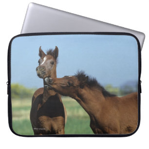 Funda Para Portátil Potros que juegan 2
