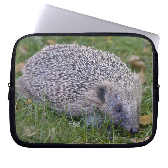 Funda para portátil Prickles (Frente)