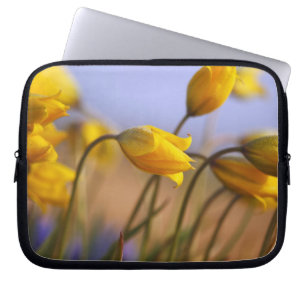 Funda Para Portátil Primer de narcisos