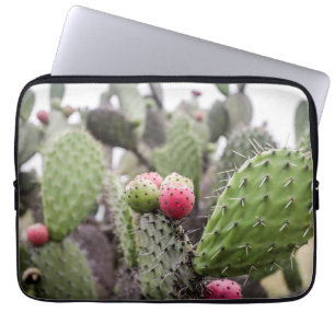 Funda Para Portátil Primer plano de cactus de pera espinosa