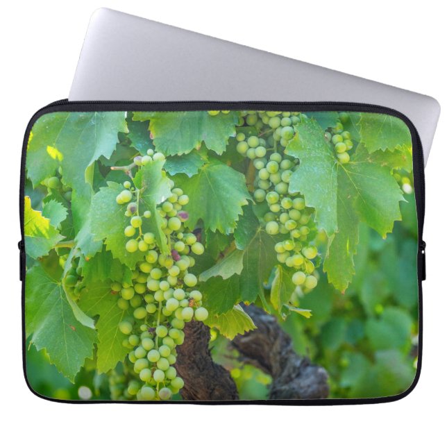 Funda Para Portátil Primer plano de uvas madurando (Frente)