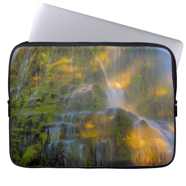 Funda Para Portátil Proxy Falls Three Sisters Wilderness Oregon (Frente)