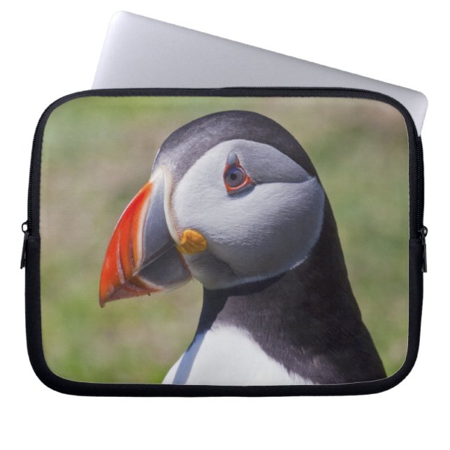 Funda para portátil Puffin (Frente)