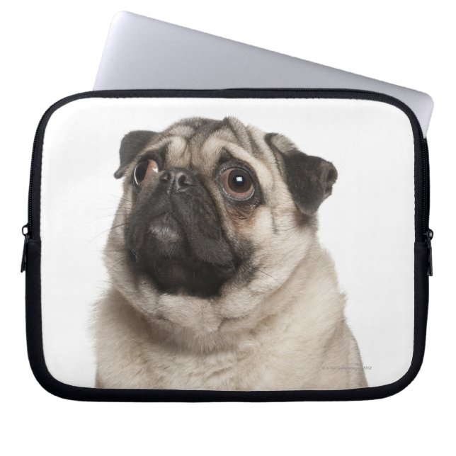 Funda Para Portátil Pug (13 meses) mirando hacia arriba (Frente)