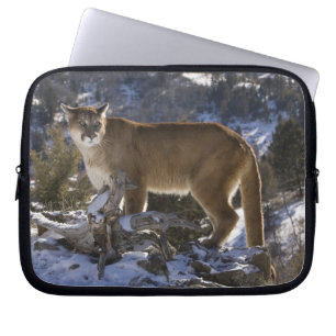 Funda Para Portátil Puma americano