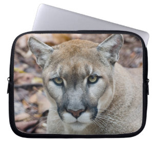 Funda Para Portátil Puma, león de montaña, pantera de Florida, Puma
