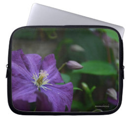 Funda Para Portátil Purple Clematis