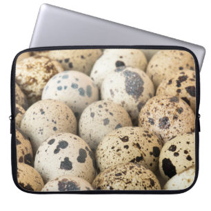 Funda Para Portátil Quail Eggs