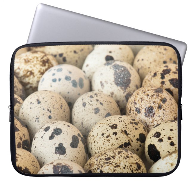 Funda Para Portátil Quail Eggs (Frente)