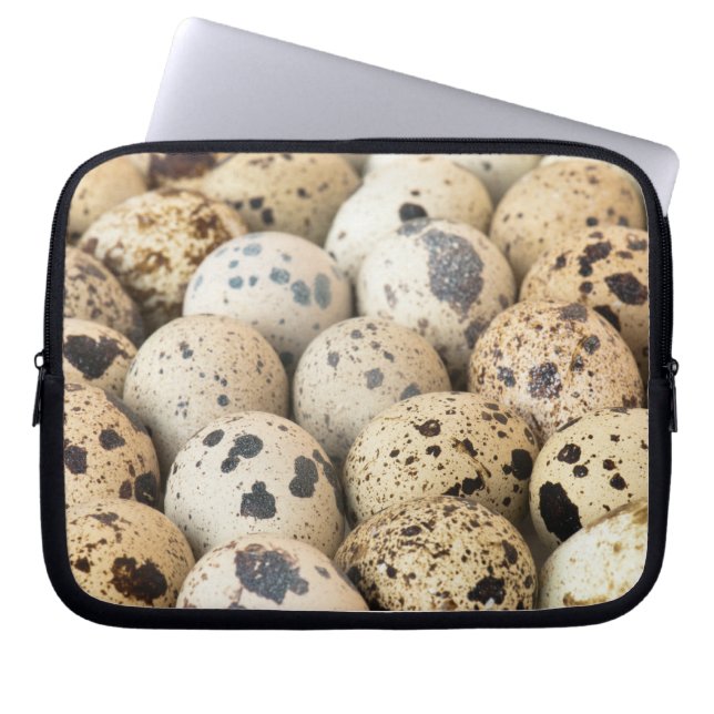Funda Para Portátil Quail Eggs (Frente)