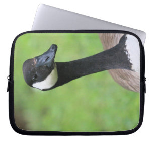 Funda Para Portátil ¿Qué?