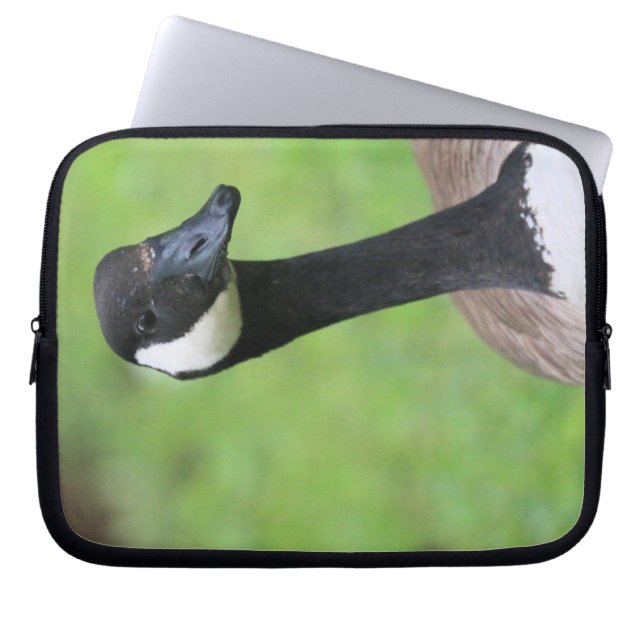 Funda Para Portátil ¿Qué? (Frente)