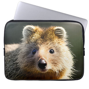 Funda Para Portátil Quintin El Ginger Quokka, Manga De Portátiles