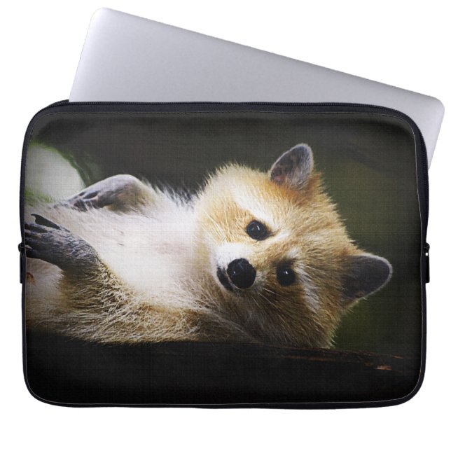 Funda Para Portátil Raccoon blanco animal de la especie Wildlife Cute (Frente)