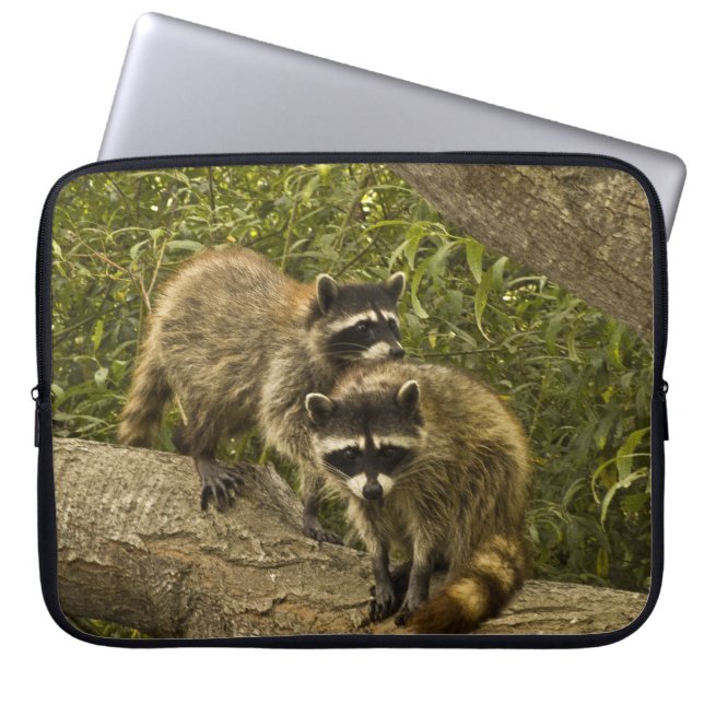 Funda Para Portátil Raccoons (Frente)