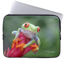 Rana de nombre personalizado