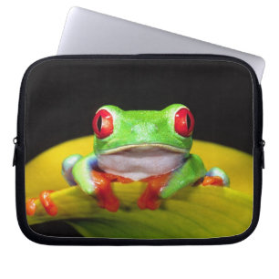 Funda Para Portátil Rana De Ojos Rojos, Agalychinis callidryas, Nativa