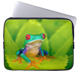 Funda Para Portátil Rana de ojos rojos, Costa Rica