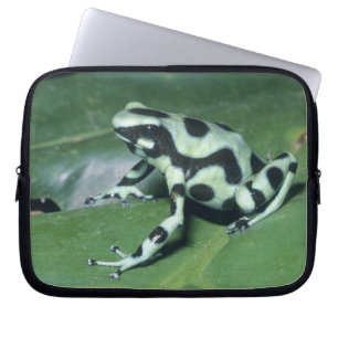 Funda Para Portátil Rana venenosa, (Dendrobates auratus) Cahuita