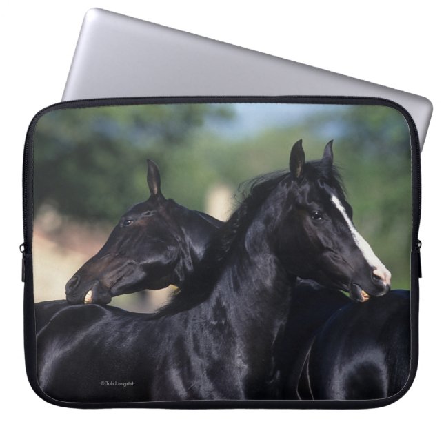 Funda Para Portátil Rasguño árabe del caballo (Frente)