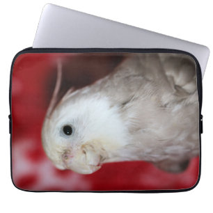 Funda Para Portátil Reeples