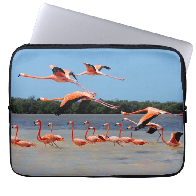 Funda Para Portátil Reserva de la biosfera de Celestun (Frente)