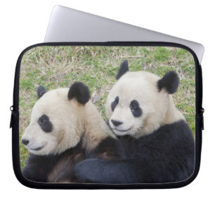 Funda Para Portátil Reserva Wolong, China, Oso panda gigante abrazando