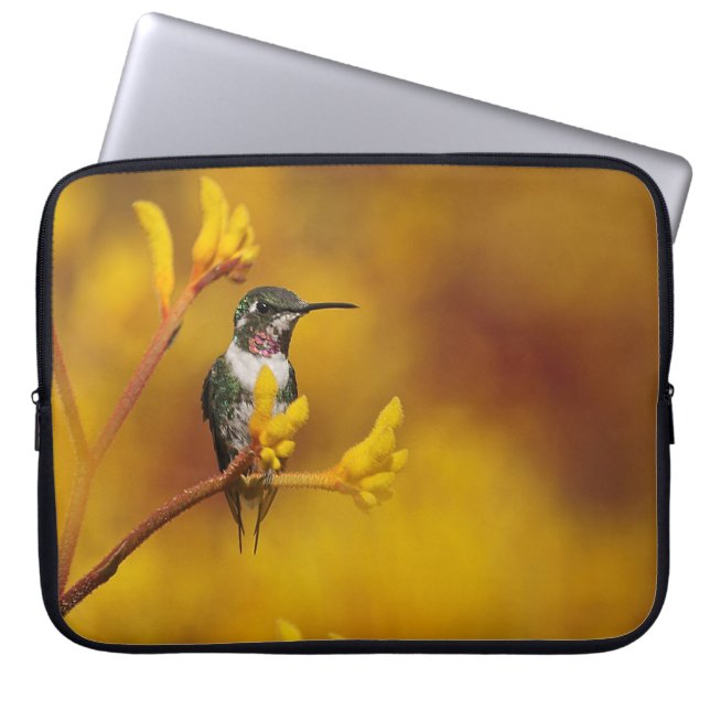 Funda Para Portátil Resplandor de oro (Frente)