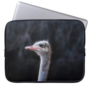 Funda Para Portátil retrato de avestruz