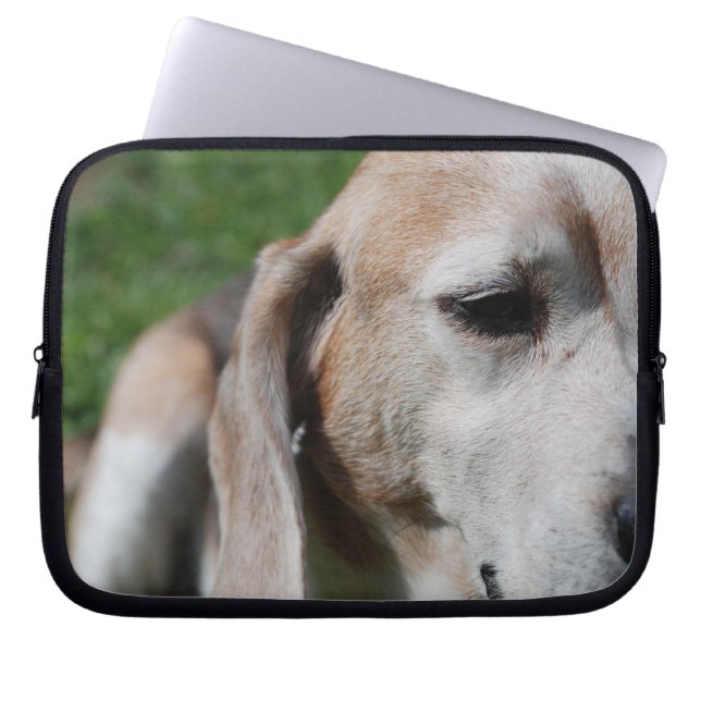 Funda Para Portátil retrato de beagle (Frente)