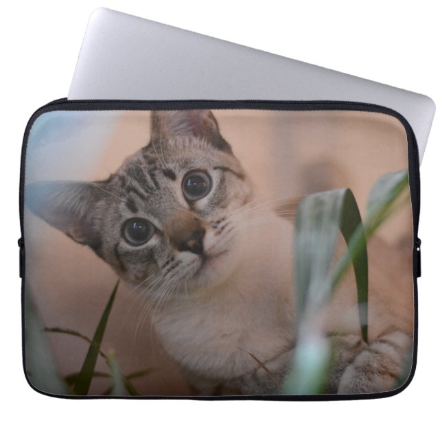 Funda Para Portátil Retrato de foto de gato lindo (Frente)