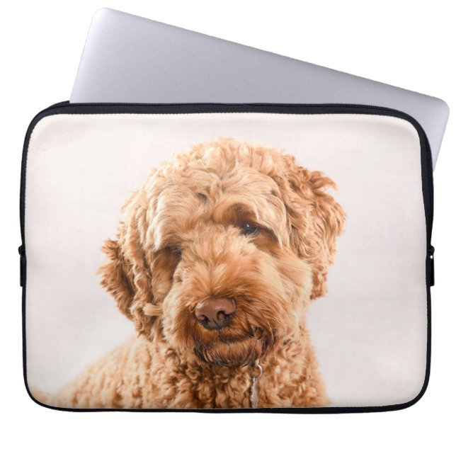 Funda Para Portátil Retrato de Goldendoodle Studio (Frente)