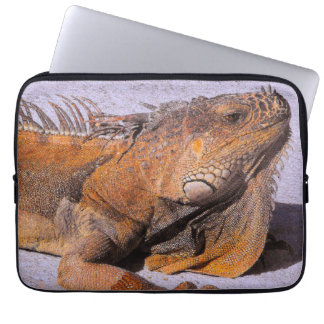 Funda Para Portátil Retrato de la Iguana