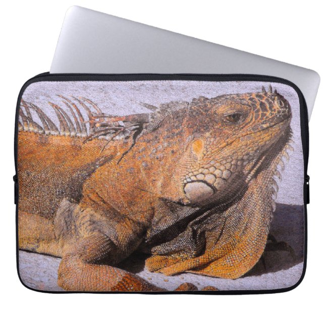 Funda Para Portátil Retrato de la Iguana (Frente)