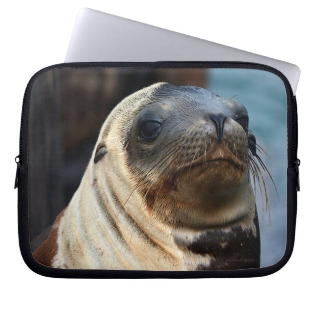 Funda Para Portátil Retrato de león marino (Frente)