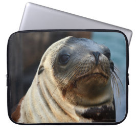 Funda Para Portátil Retrato de león marino