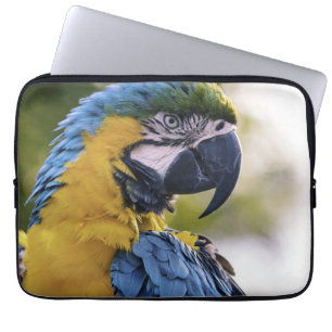 Funda Para Portátil Retrato de perfil de loro de Macaw