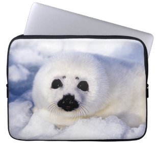 Funda Para Portátil Retrato de una cría de foca arpón