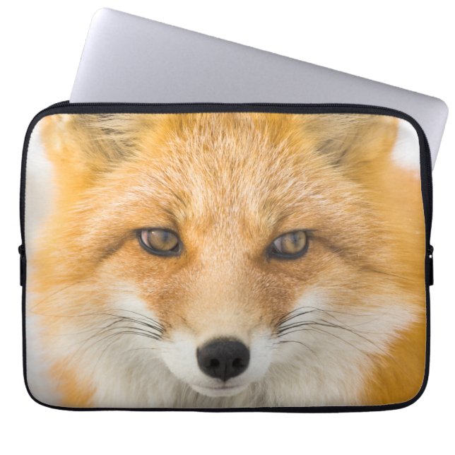 Funda Para Portátil Retrato de zorro rojo (Frente)