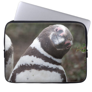 Funda Para Portátil Retrato del pingüino de Magellanic