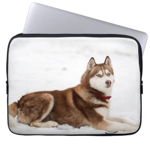 Funda Para Portátil Retrato espumoso siberiano chiquito