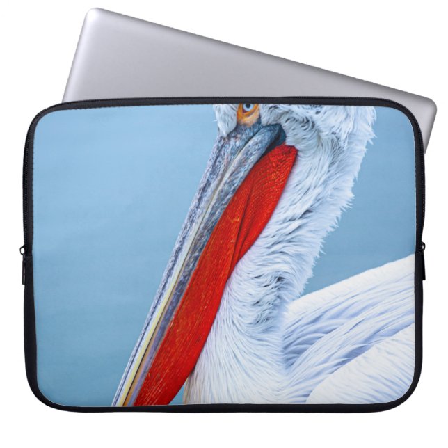 FUNDA PARA PORTÁTIL RETRATO PELICANO (Frente)