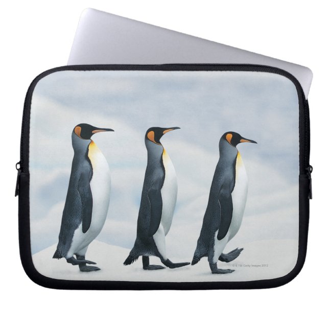 Funda Para Portátil Rey pingüinos (Frente)