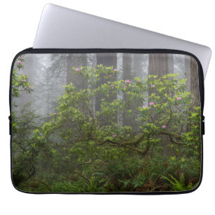 Funda Para Portátil Rhododendron en el Parque Nacional Redwood Califor
