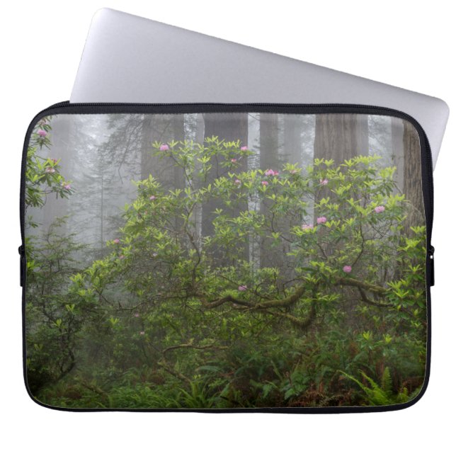 Funda Para Portátil Rhododendron en el Parque Nacional Redwood en Cali (Frente)