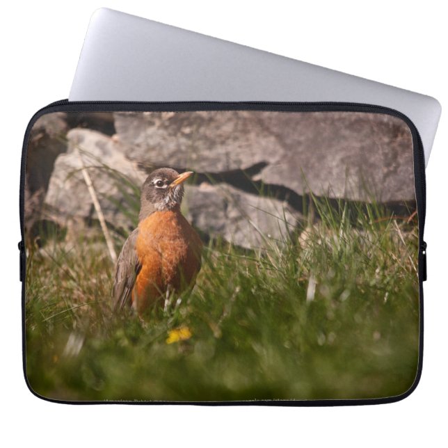 Funda Para Portátil Robin estadounidense (Frente)